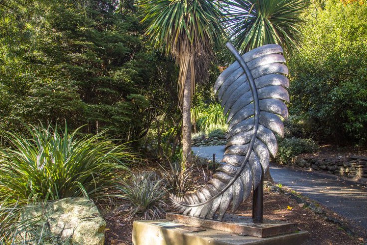 Fern - Paul Dibble