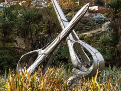 Water Birds - Mark Hill
